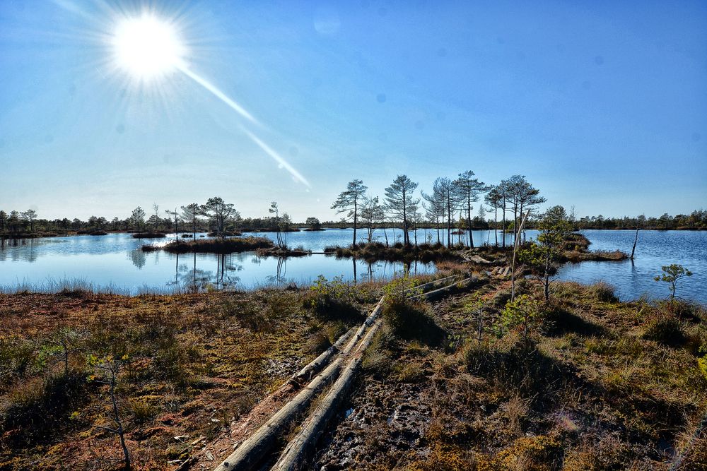 Фотография автора Виктор Журбенков