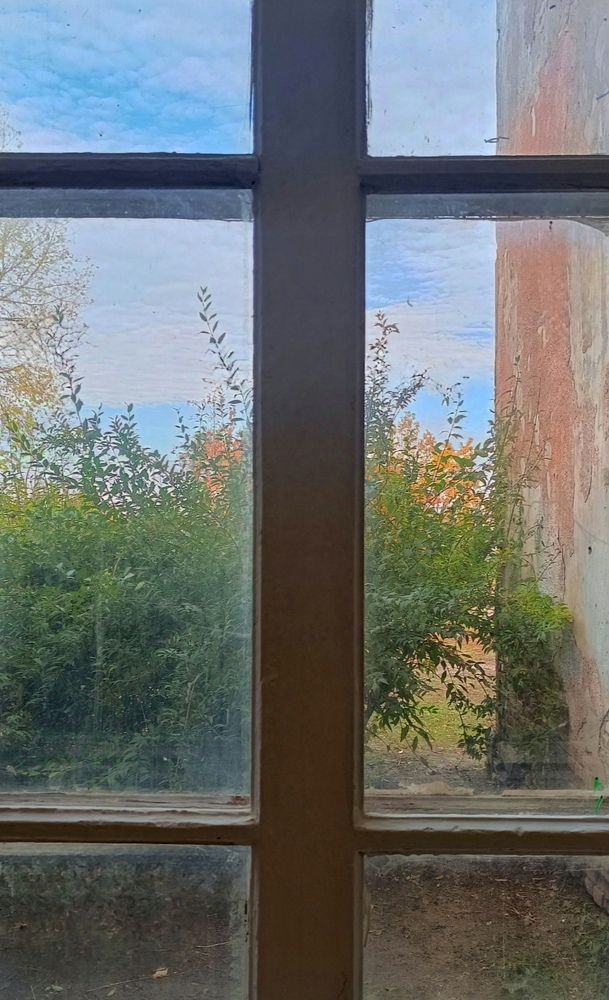 Фотография автора Светлана Анатольевна Чернышова