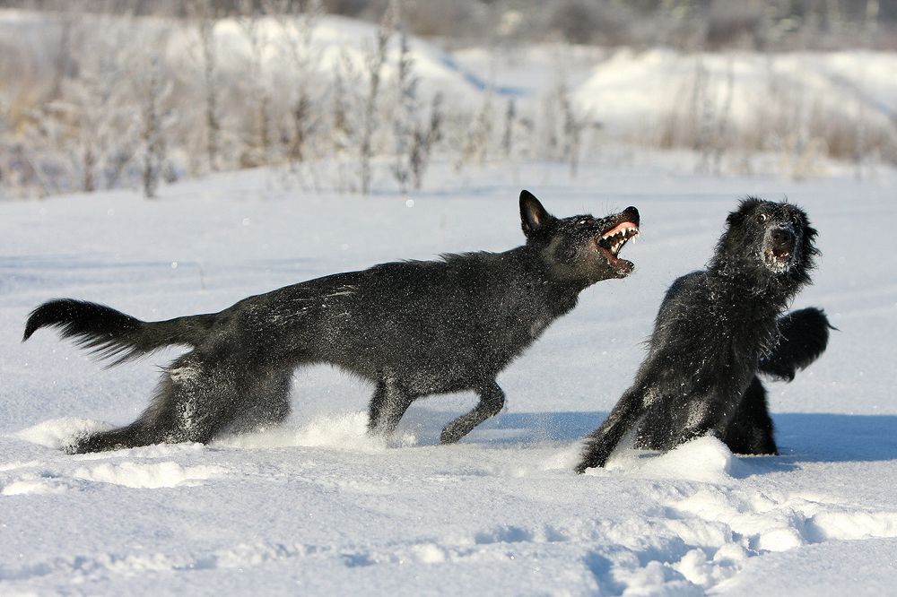 Ну как, страшно?