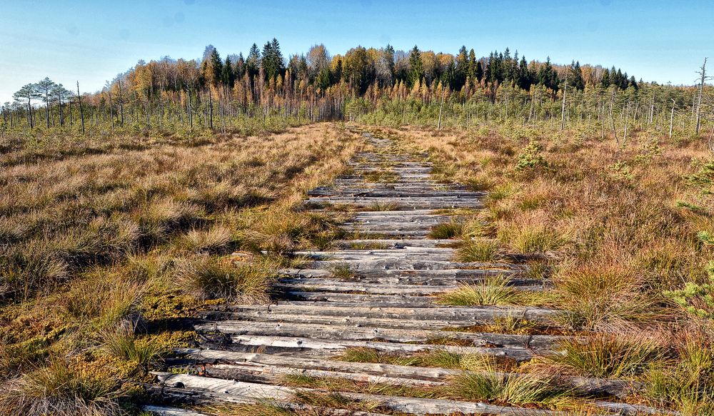 Фотография автора Виктор Журбенков
