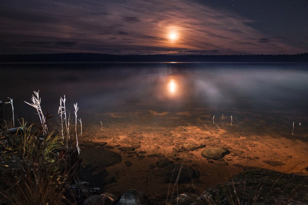 Photograph by Северная Алиса