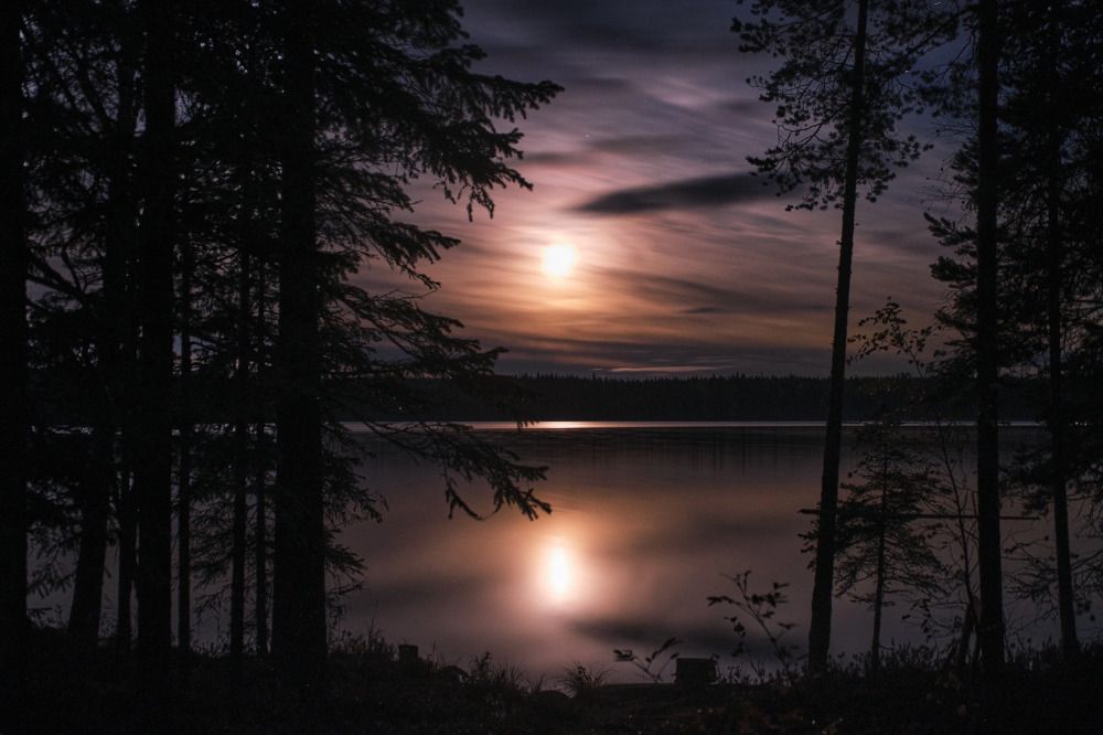 Photograph by Северная Алиса