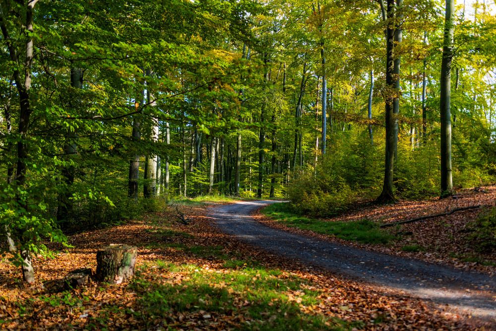 Photograph by Ludovit Repan