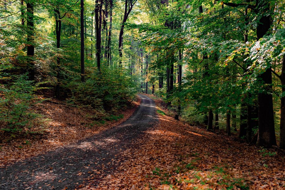 Photograph by Ludovit Repan