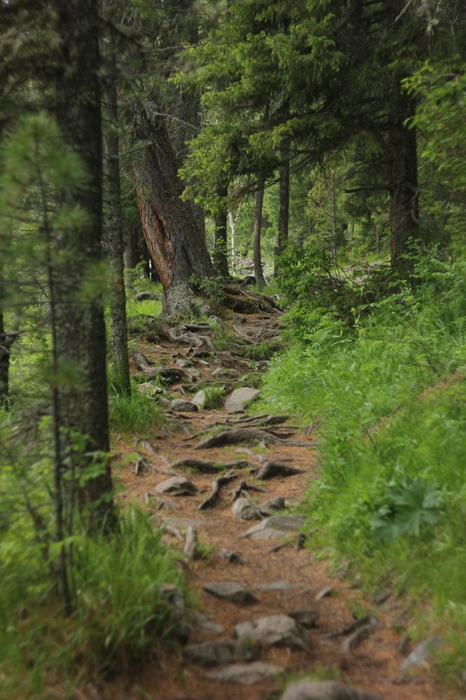 Photograph by Дмитрий Васючков