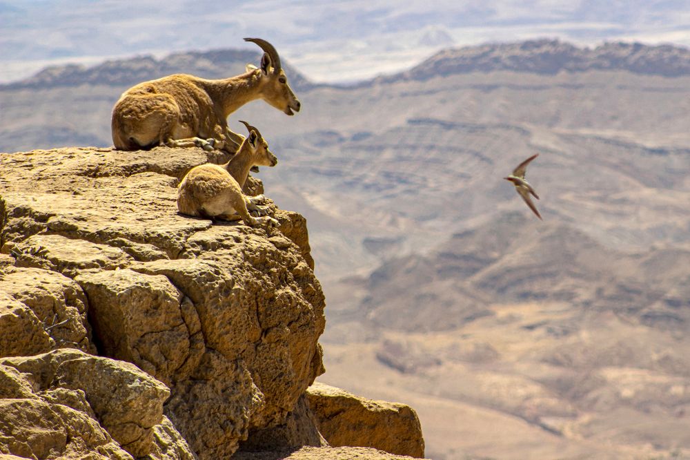 Photograph by Вадим Городницкий