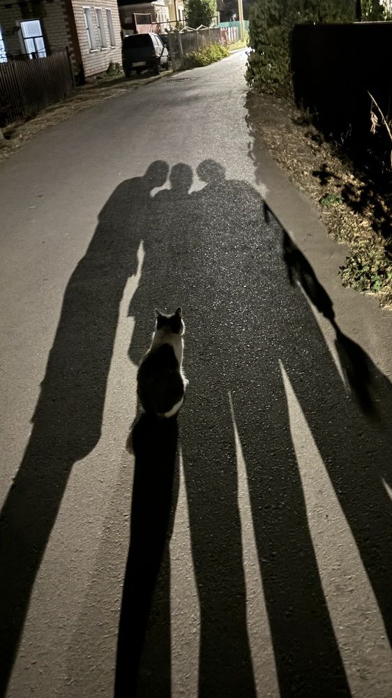 Photograph by Елена Гущина