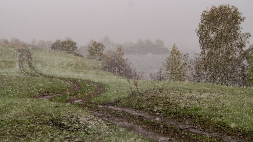 Фотография автора Роман Чернышов