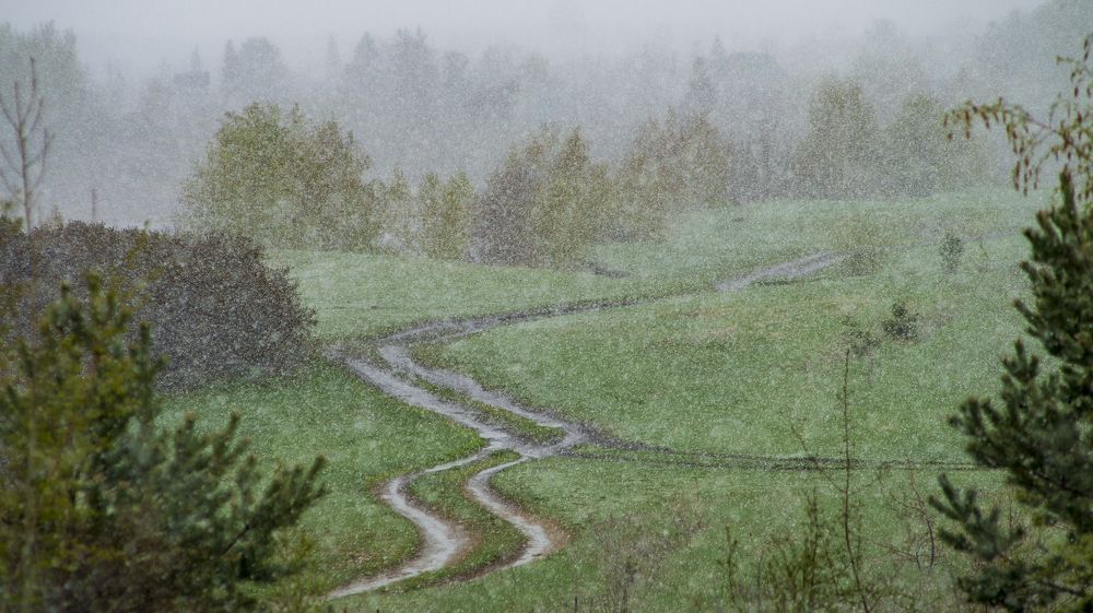 Фотография автора Роман Чернышов