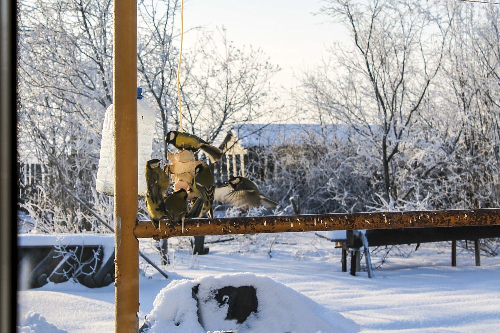 Photograph by Людмила Павловна