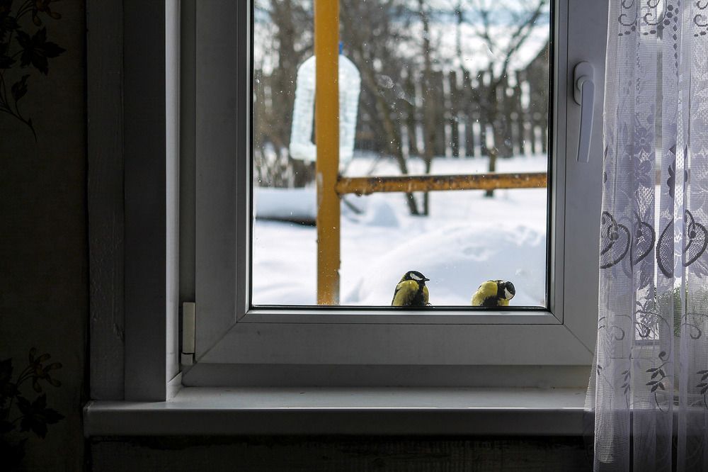 Photograph by Людмила Павловна