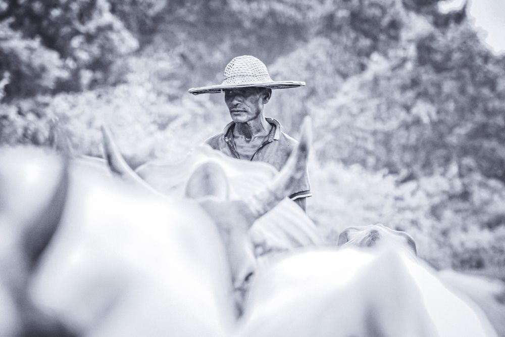 Photograph by Abhilash Sahoo