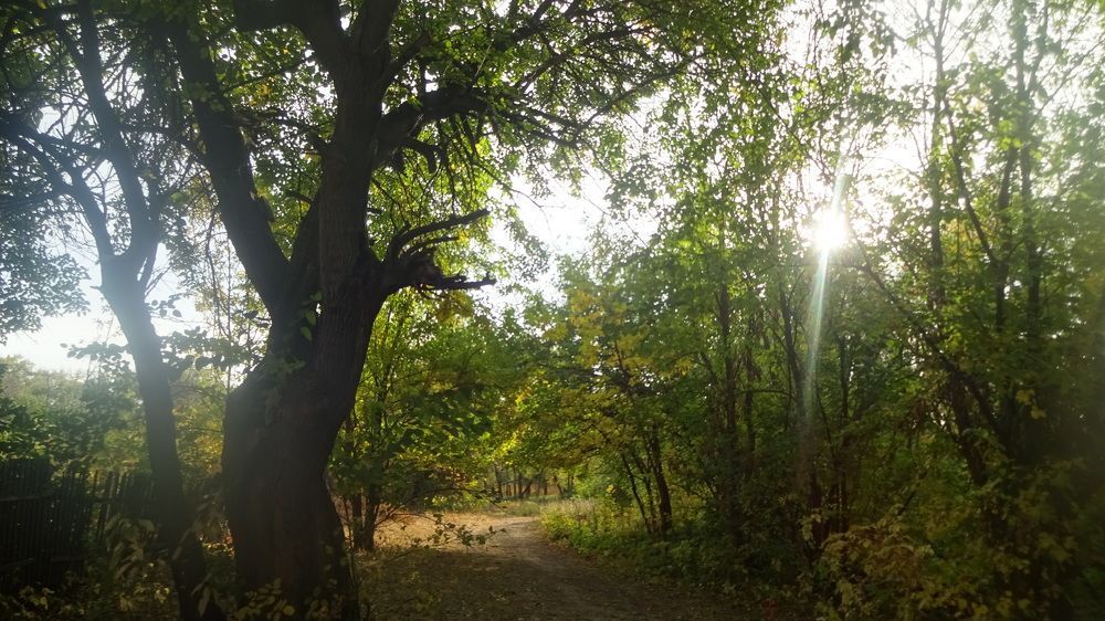 Photograph by Елена Мясникова