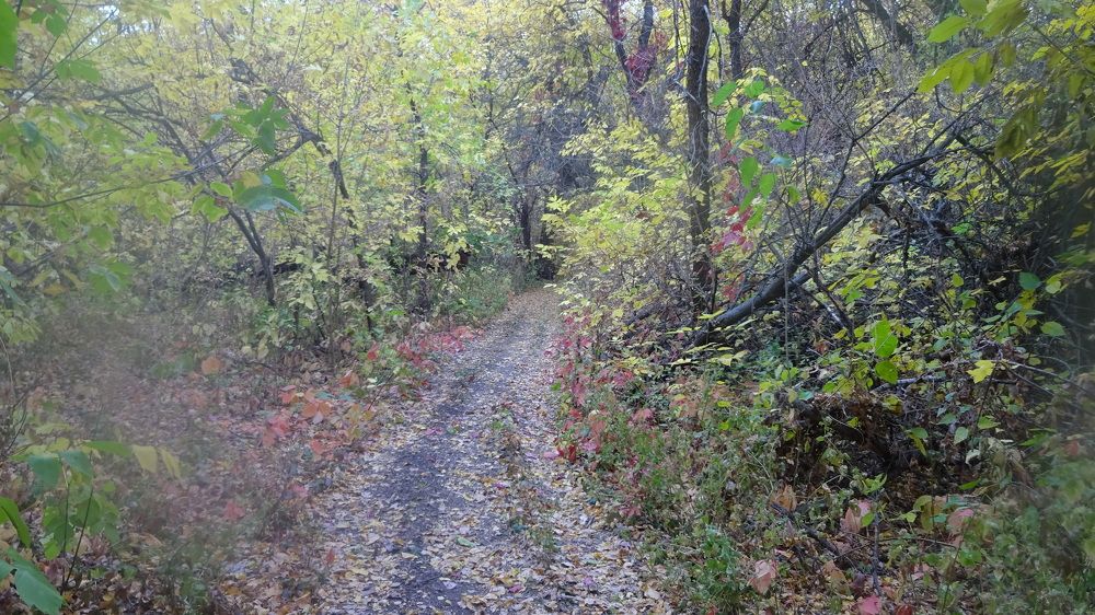 Photograph by Елена Мясникова