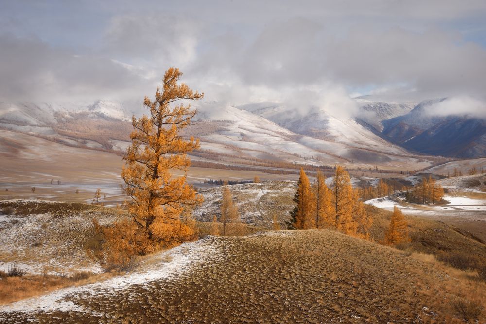 Photograph by Максимова Ольга