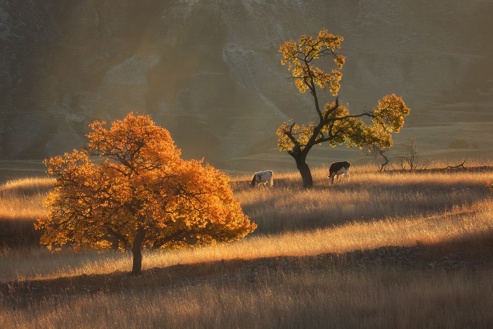 Photograph by Максимова Ольга