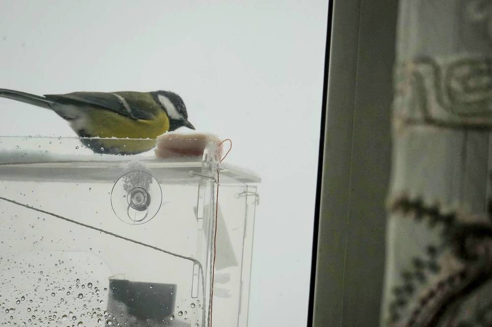 Photograph by Михаил Трусов