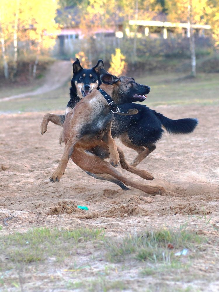 Photograph by Светлана Богомолова