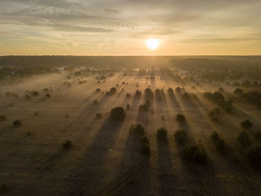 Photograph by Владимир Никоноров