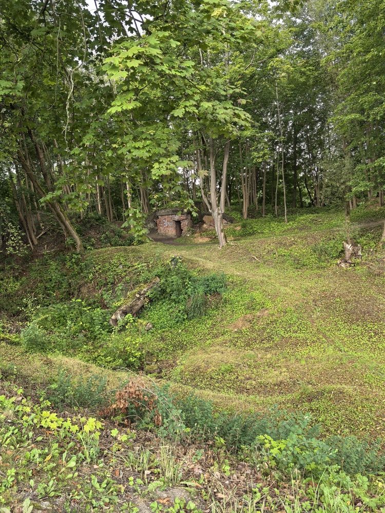 Фотография автора Александр Сипаров