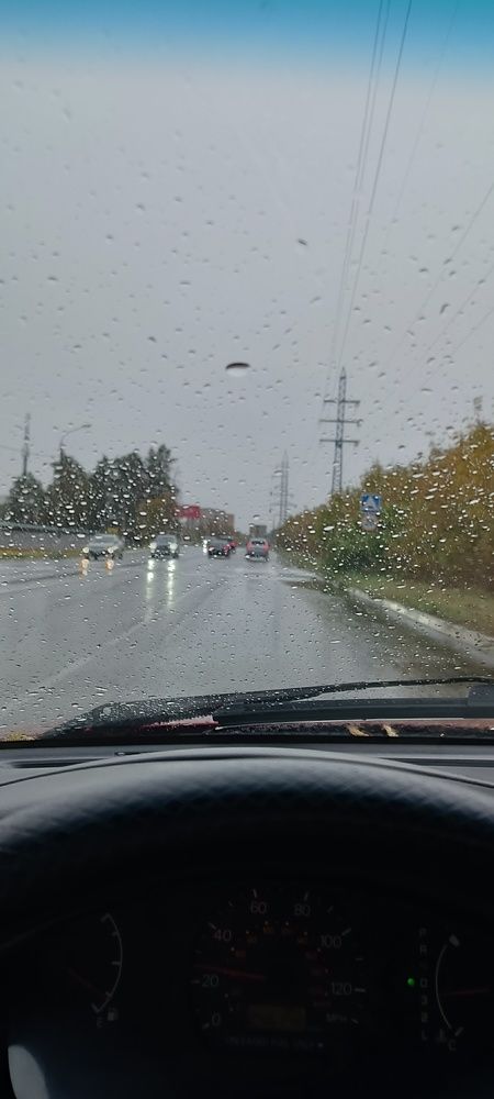 Фотография автора Дарья Петровская