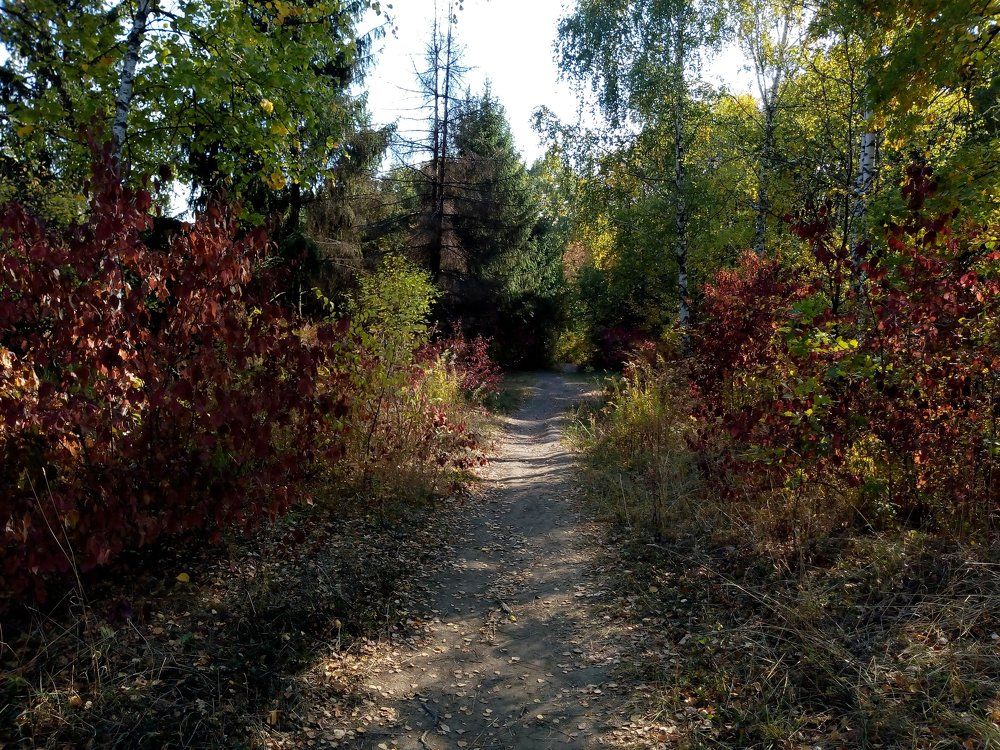 Photograph by Татьяна Пальчикова