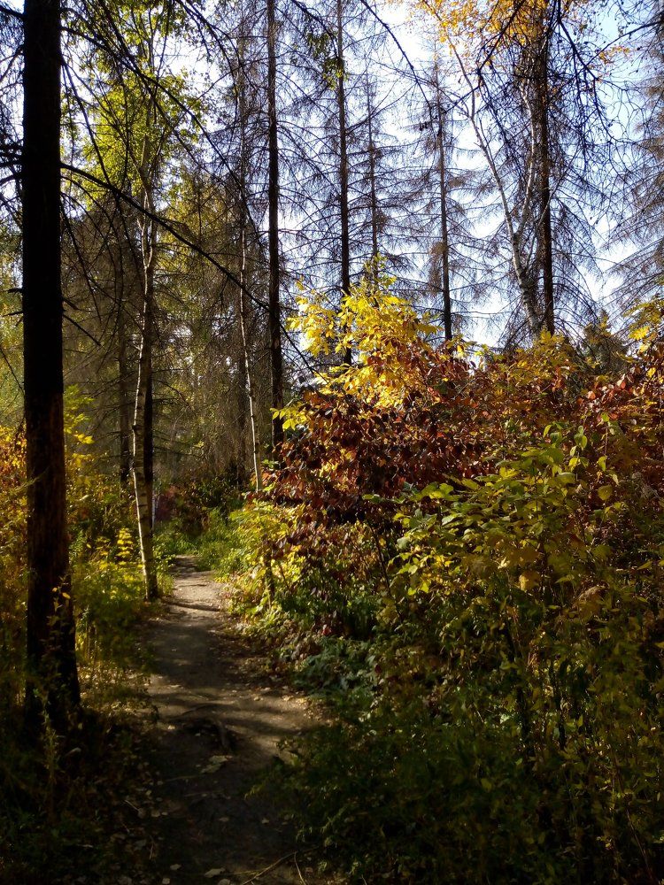 Photograph by Татьяна Пальчикова