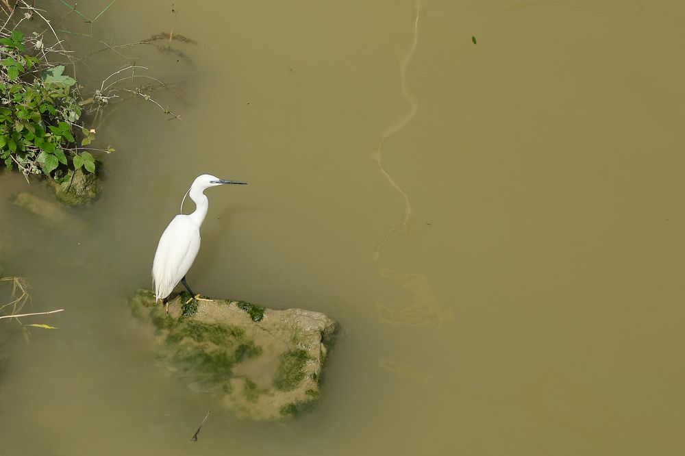 Photograph by Ranko Dokmanovic