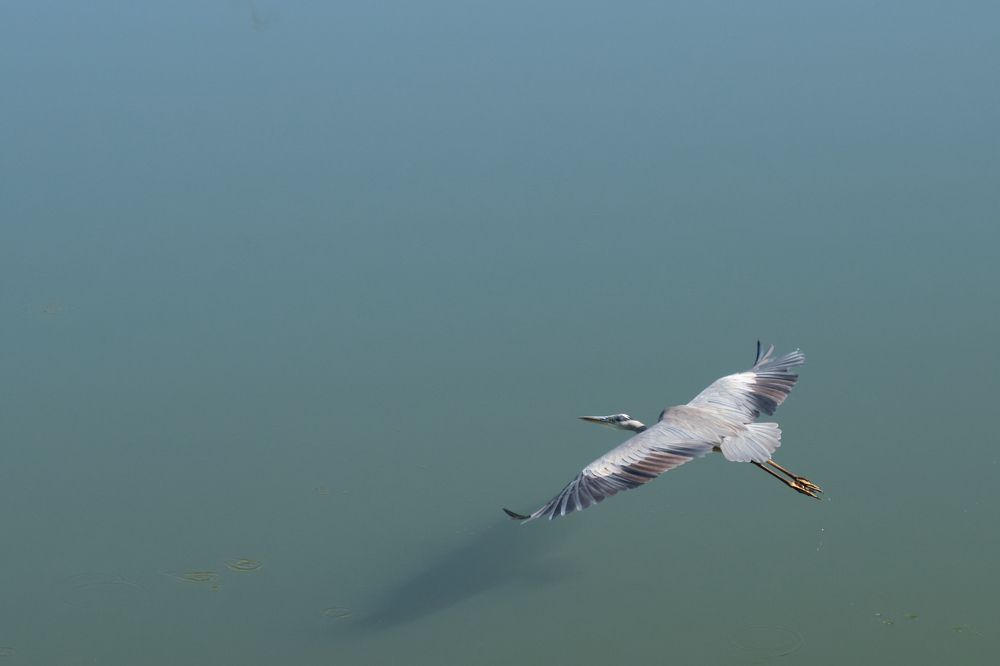 Photograph by Ranko Dokmanovic