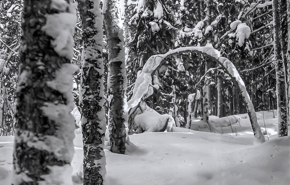 Photograph by Валентин Кузьмин