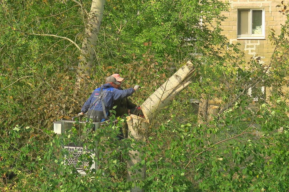 Photograph by Орл Про