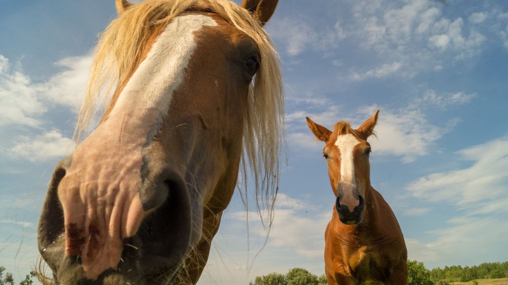 Фотография автора Роман Чернышов