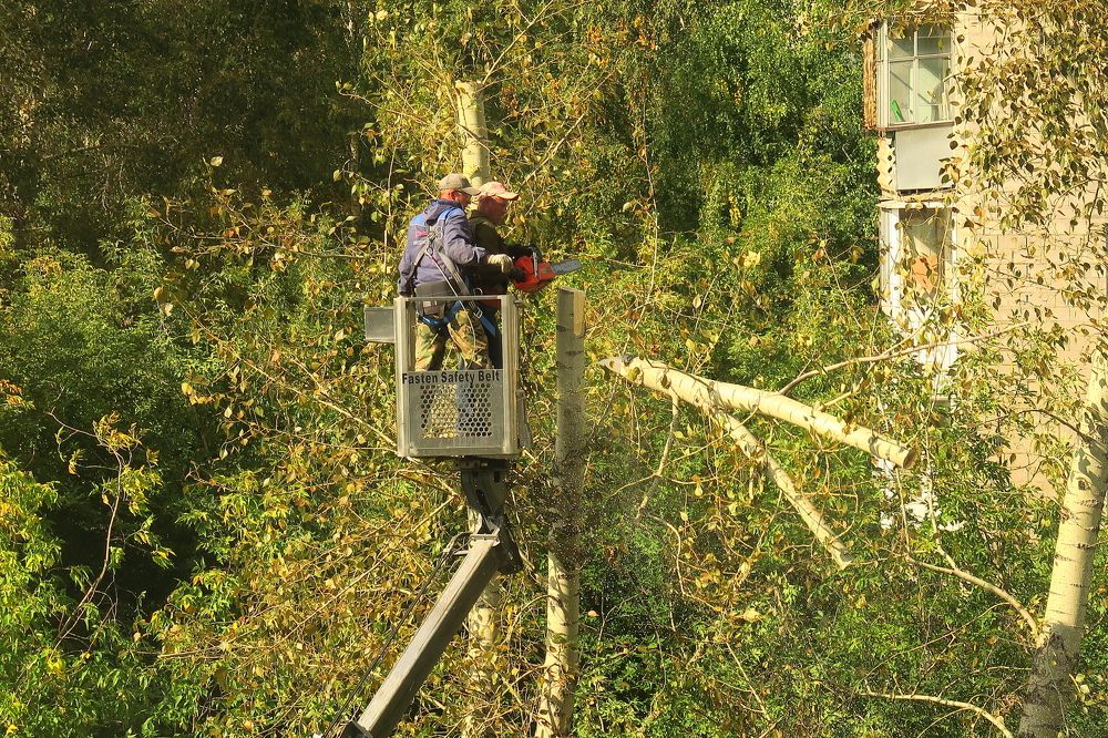 Photograph by Орл Про