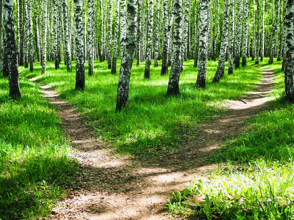 Photograph by Олег