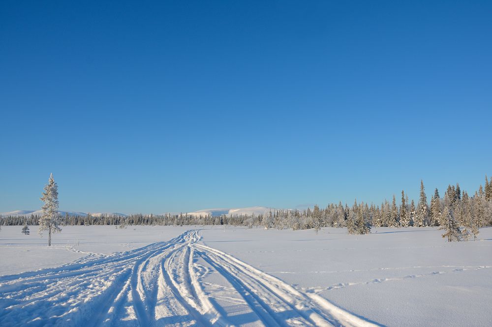 Photograph by Мария Елисеева