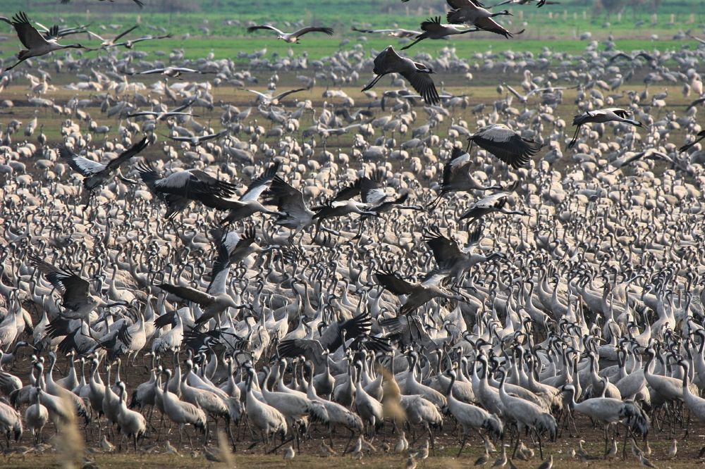 Photograph by Борис Лишневский