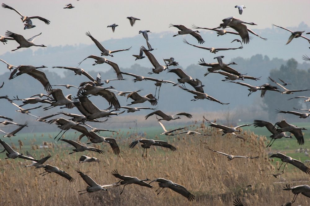 Photograph by Борис Лишневский