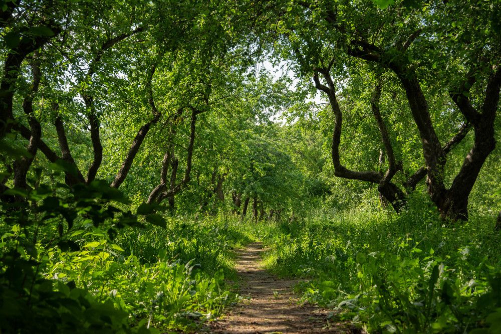 Photograph by Мария Елисеева