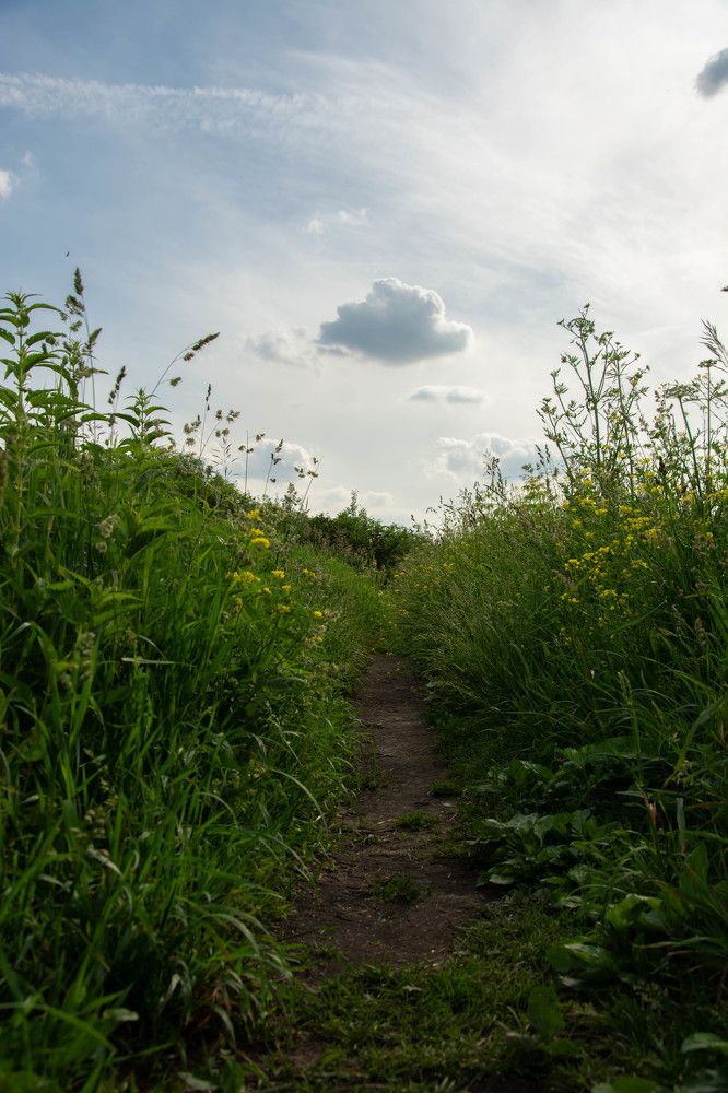 Photograph by Мария Елисеева