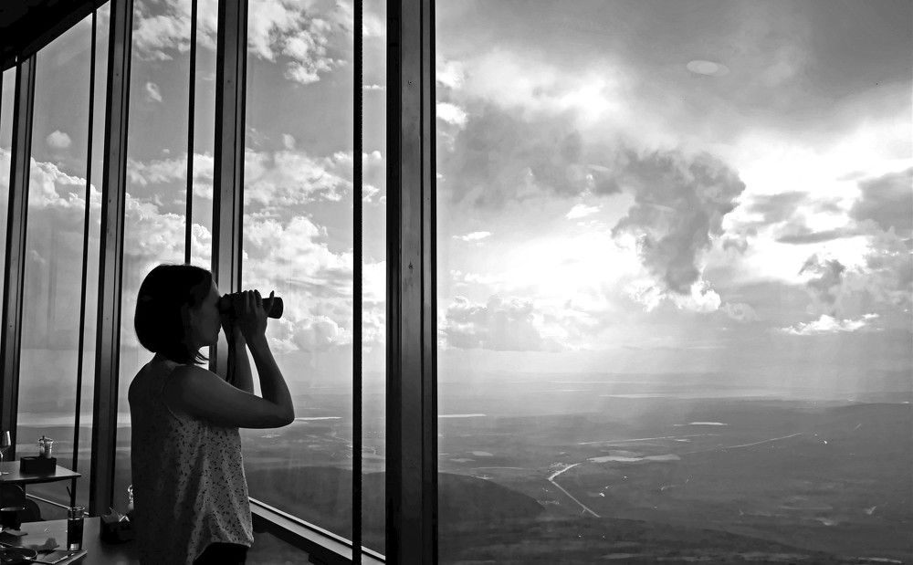 Любование природой.