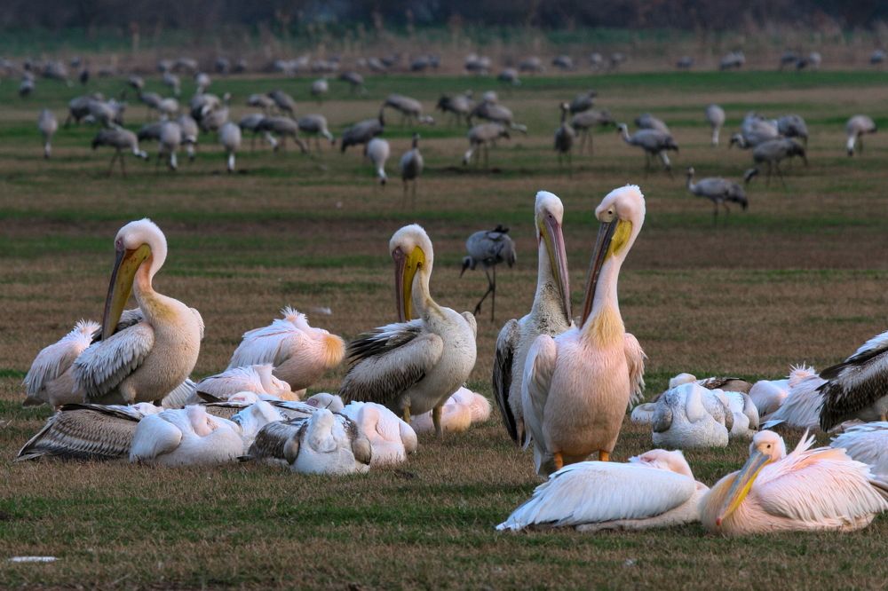 Photograph by Борис Лишневский