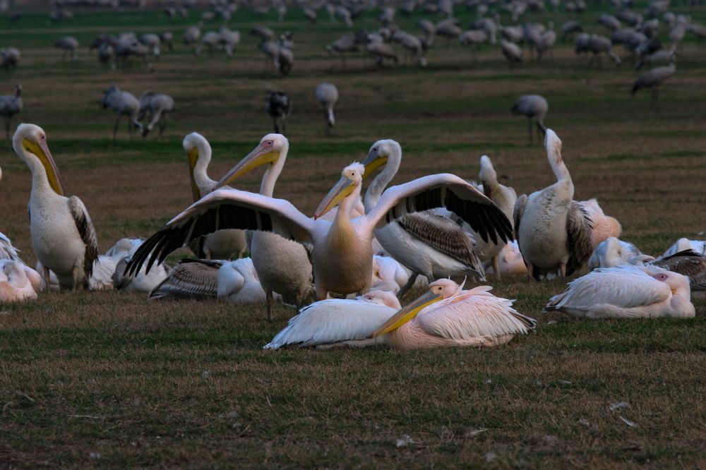 Photograph by Борис Лишневский