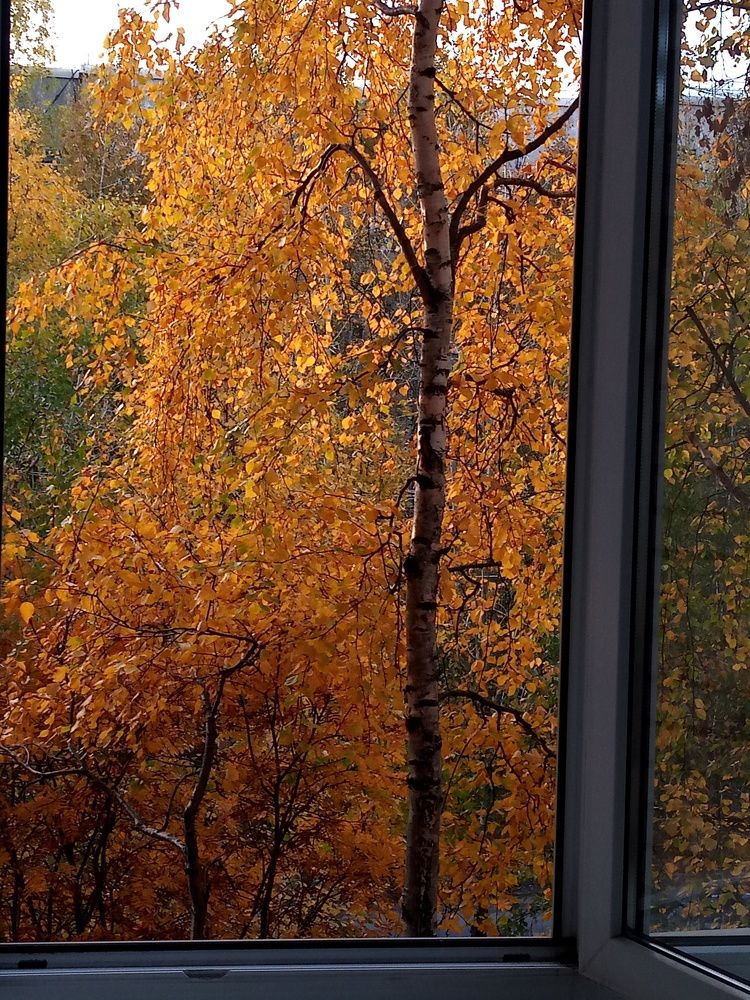 Photograph by Виталий Са