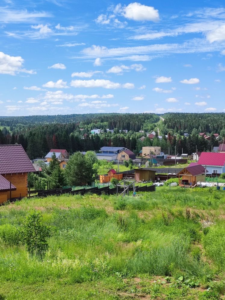 Хорошо на  даче летом!