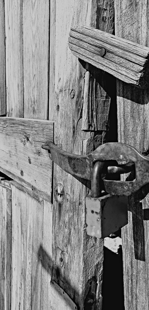 Photograph by Татьяна Сюсина