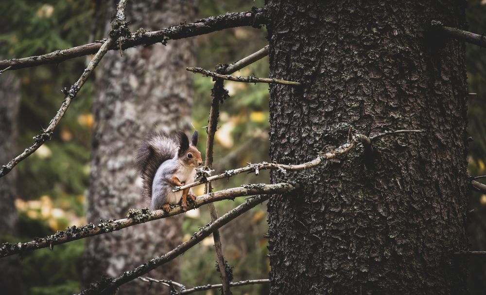 Photograph by Сергей Филатов