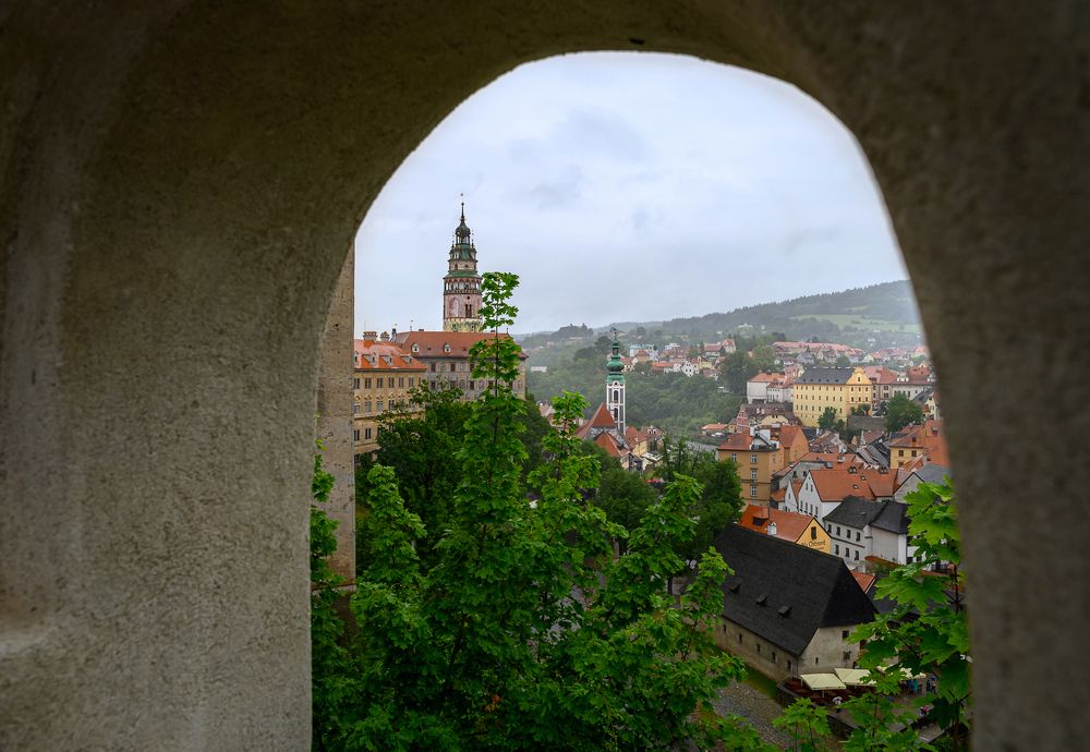 Photograph by Мария Новоселецкая