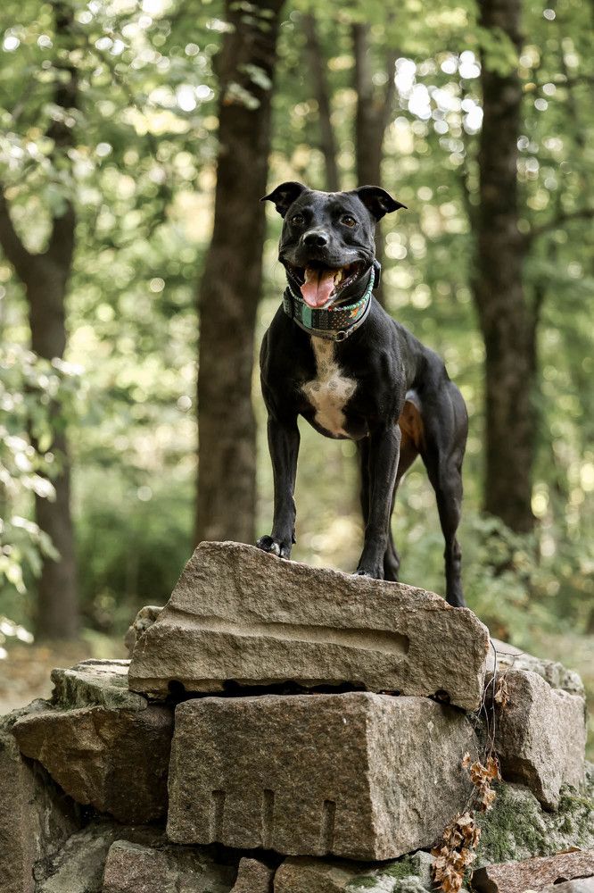 Photograph by Виктория