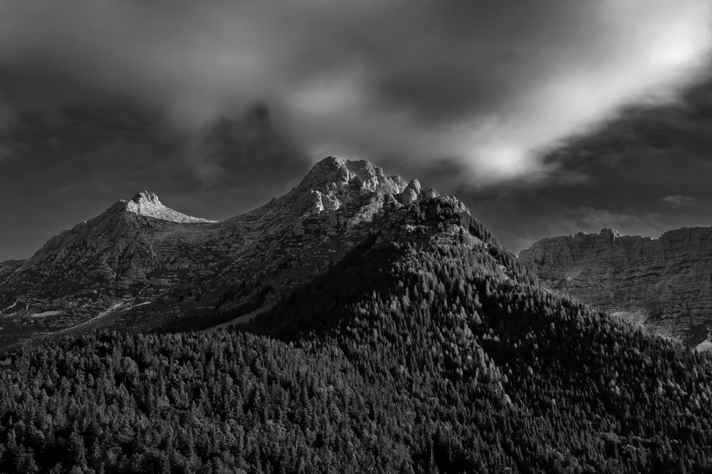 Photograph by Eva Wiedemann