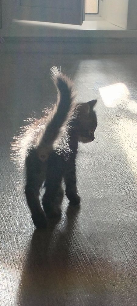 Photograph by Алия